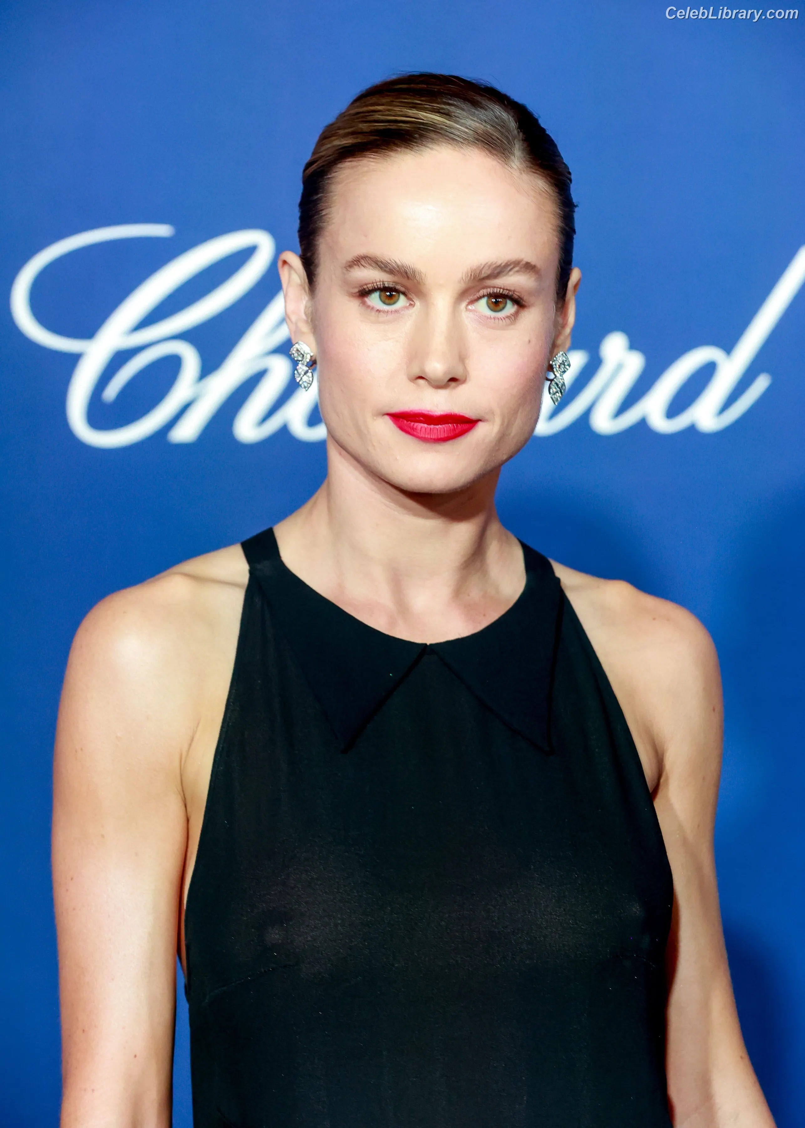 Brie Larson photo 8 of 1099