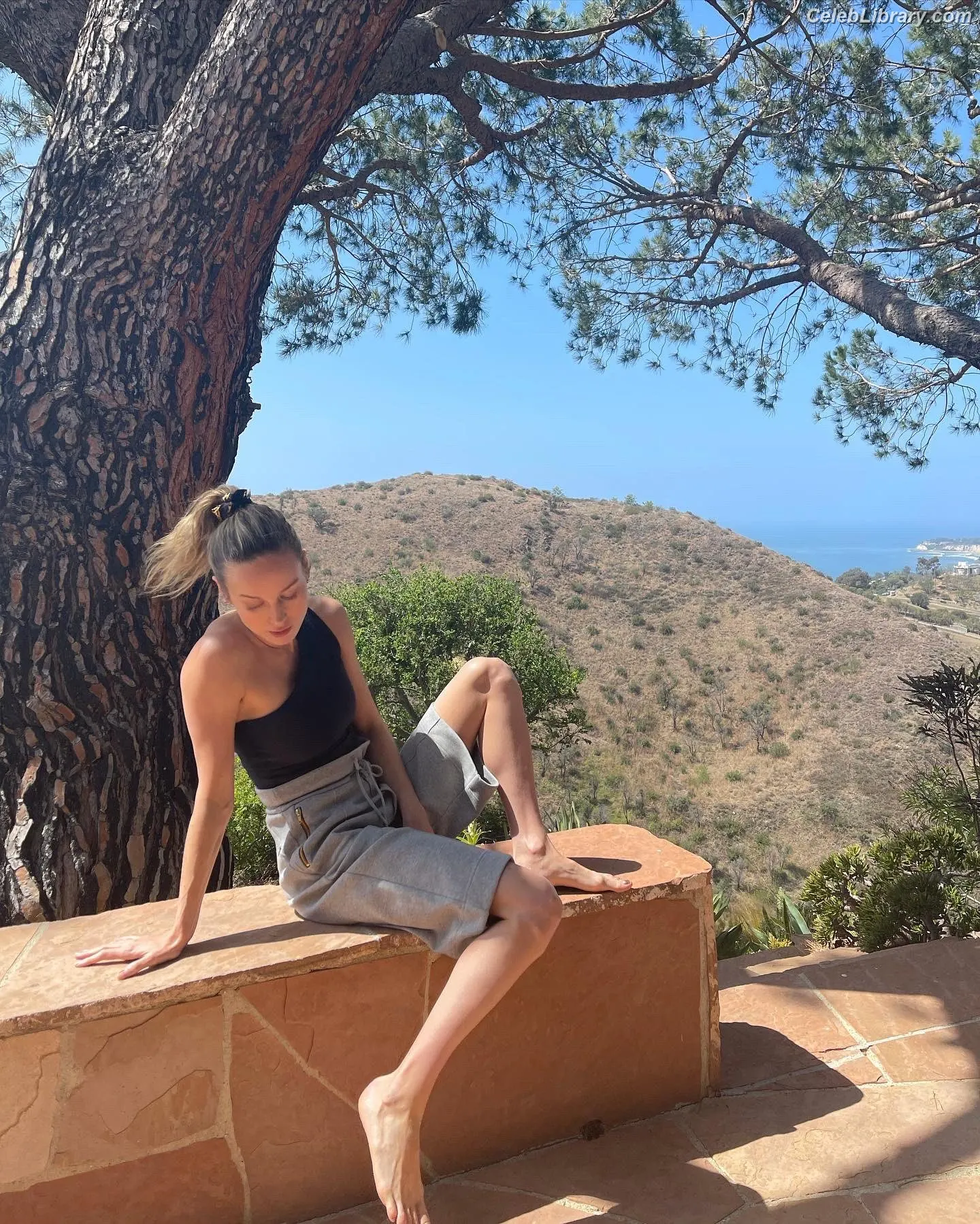 Brie Larson photo 5 of 1099