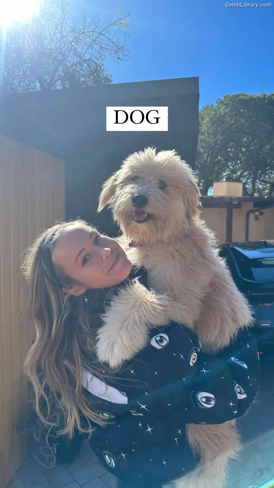 Brie Larson photo 24 of 1099