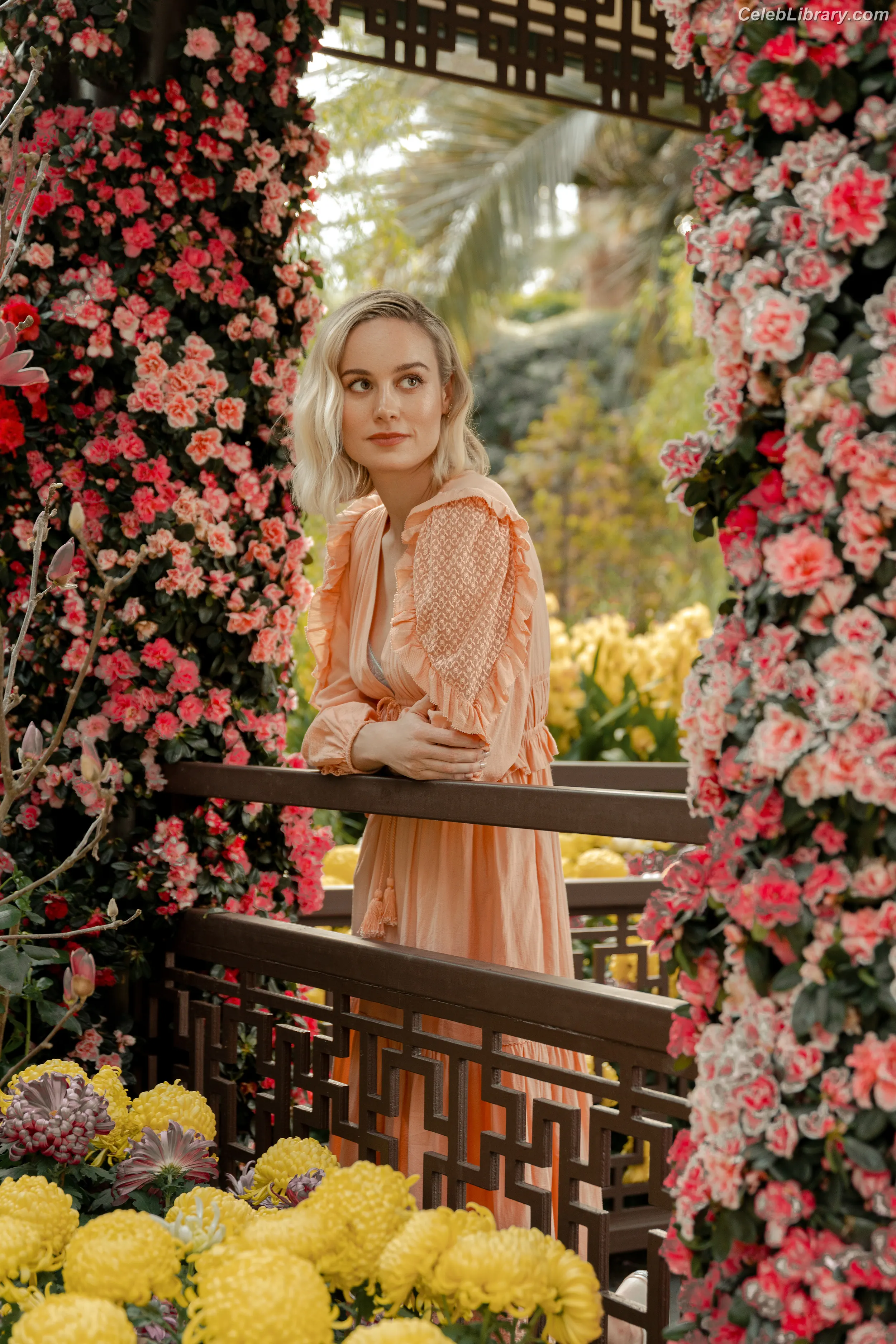 Brie Larson photo 9 of 1099