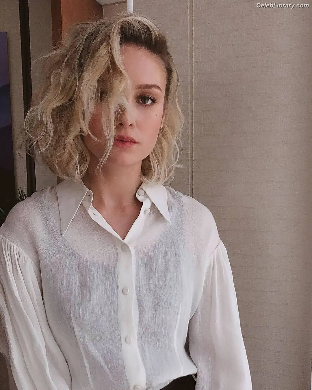 Brie Larson photo 21 of 1099