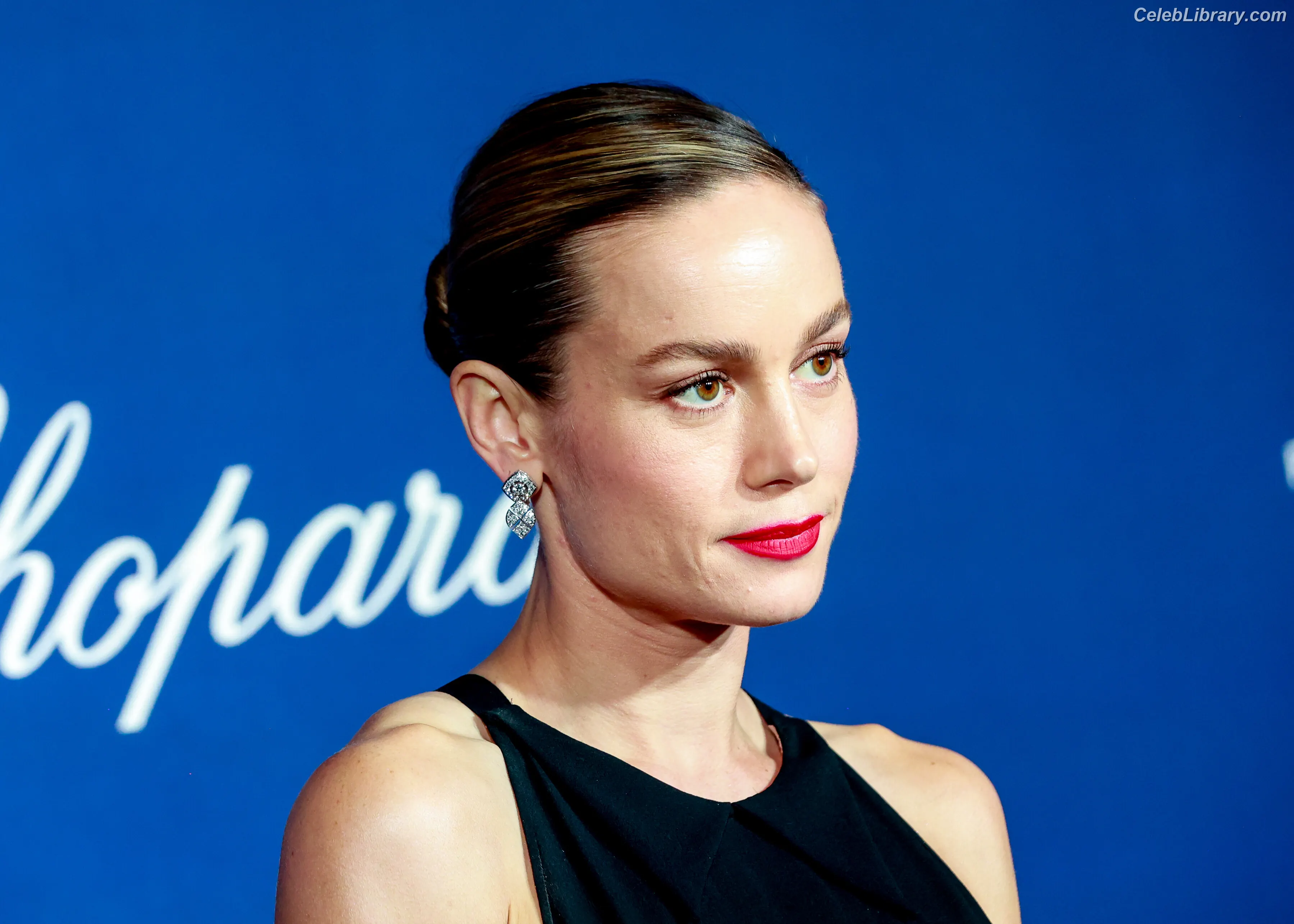 Brie Larson photo 16 of 1099