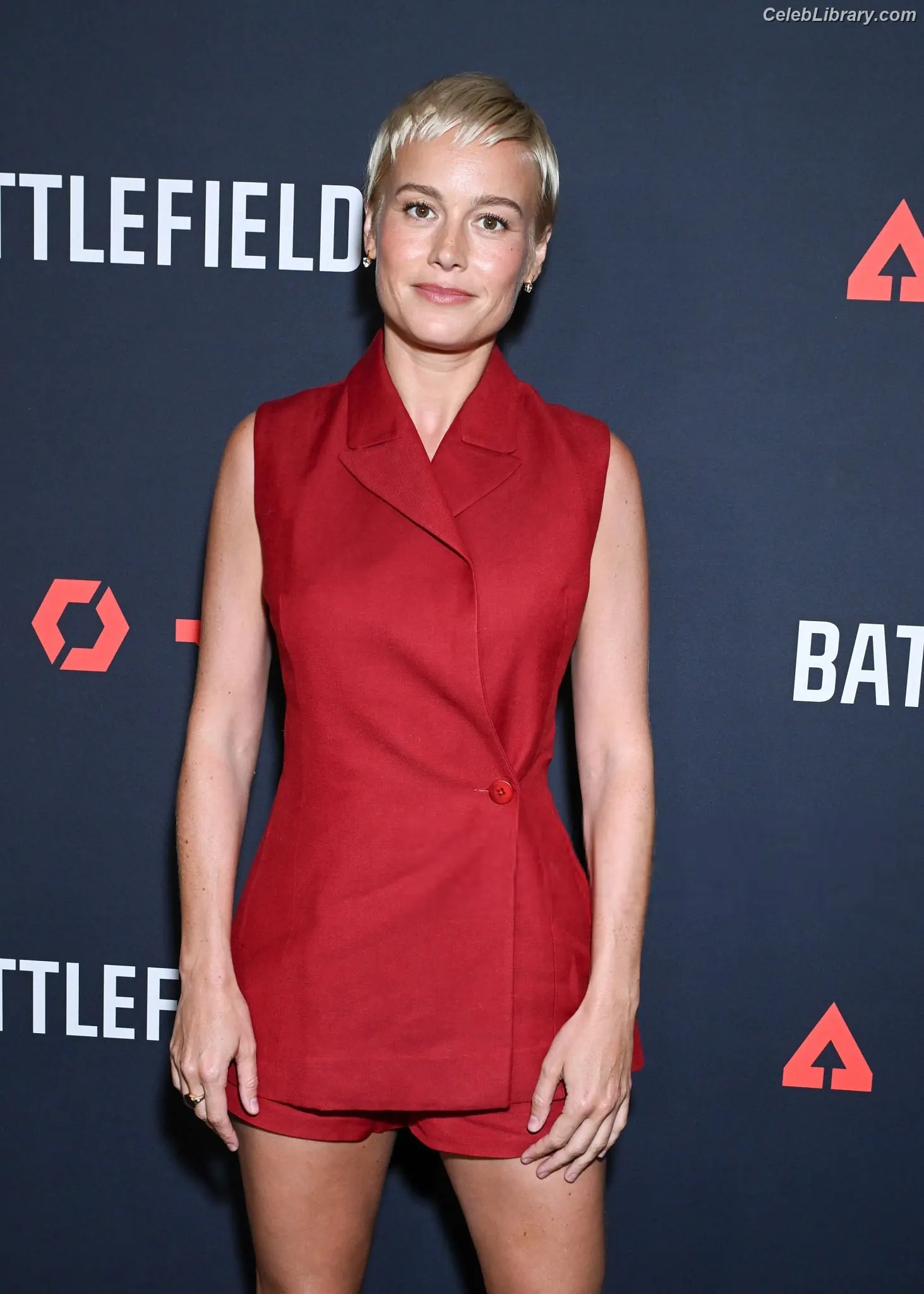 Brie Larson photo 13 of 1099