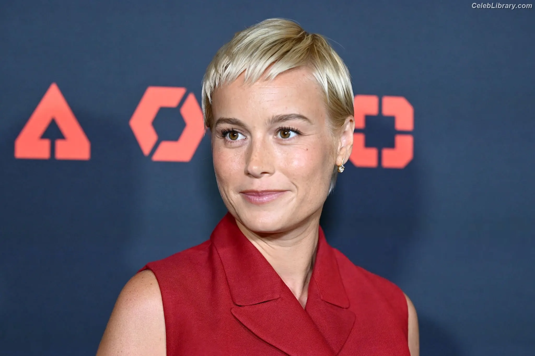 Brie Larson photo 14 of 1099