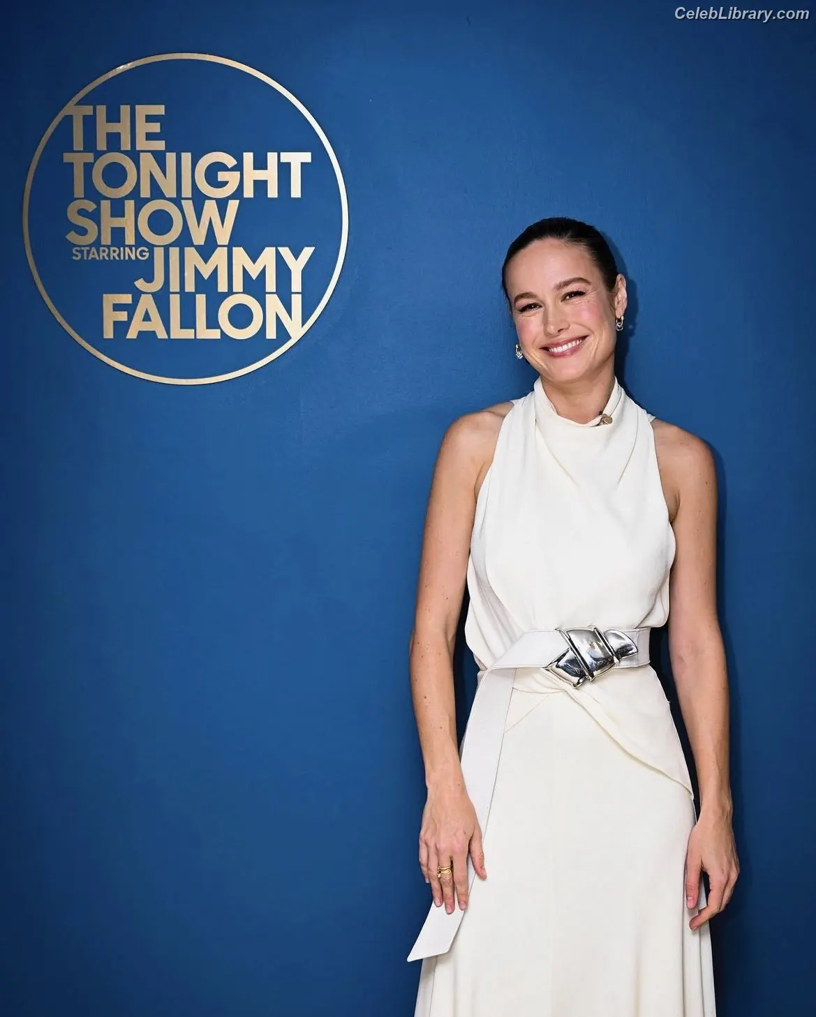 Brie Larson photo 4 of 1099