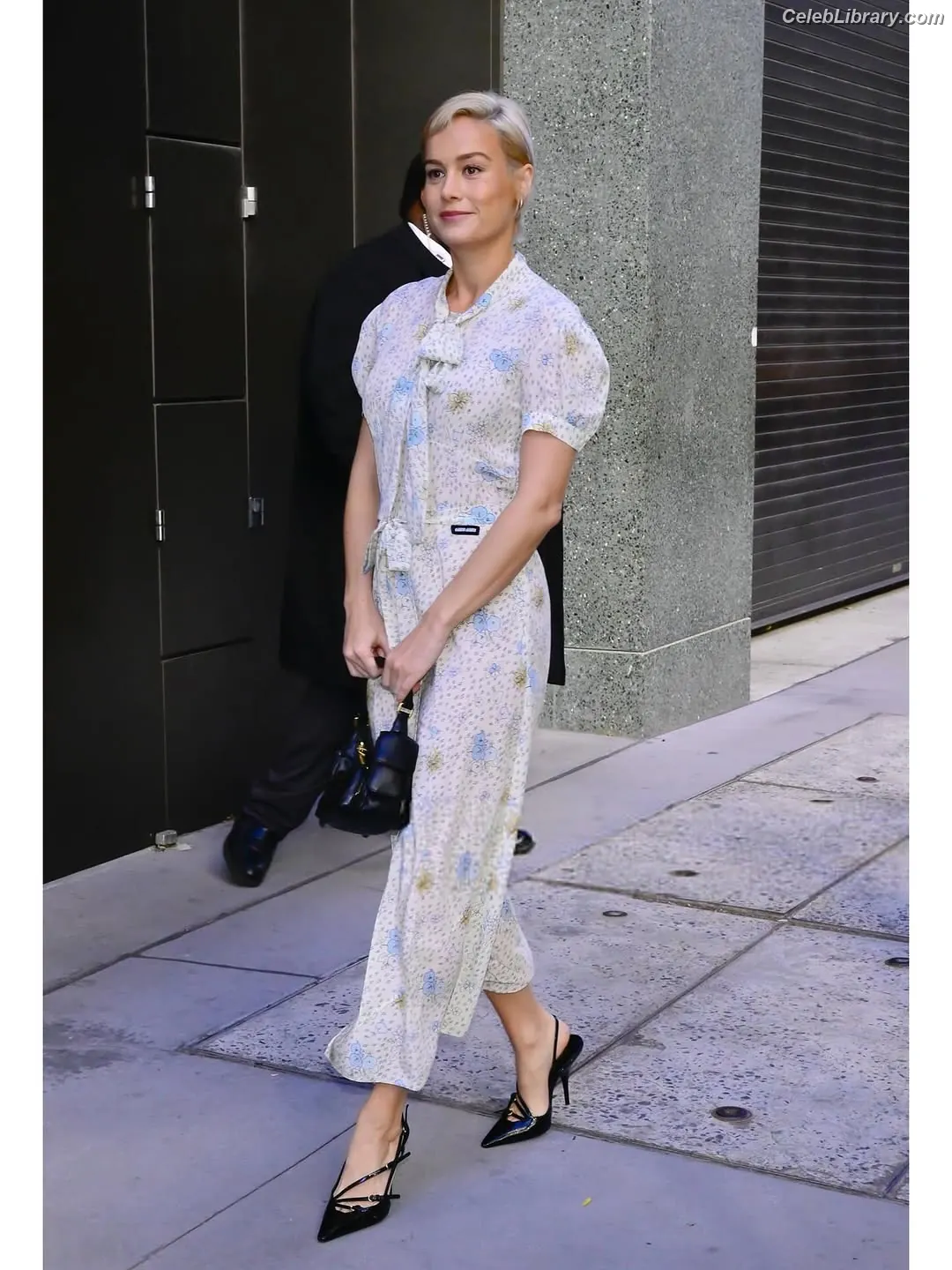 Brie Larson photo 13 of 1099