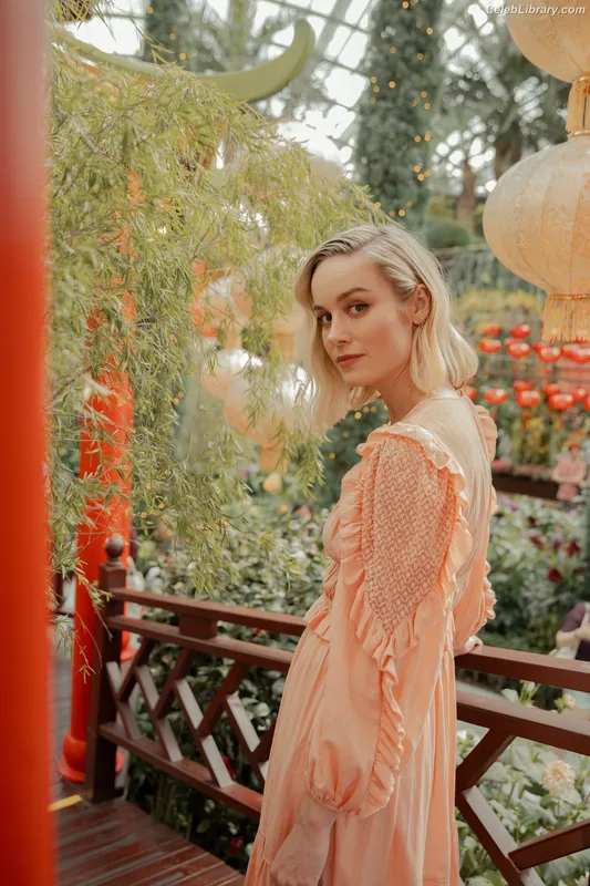 Brie Larson photo 6 of 1086