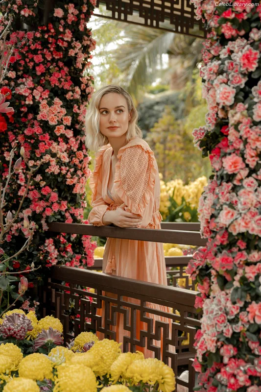 Brie Larson photo 7 of 1086