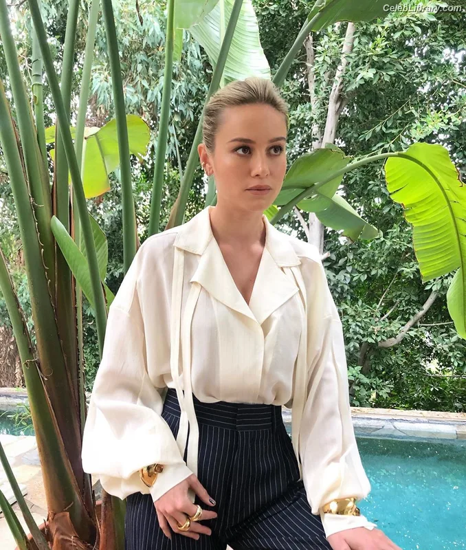Brie Larson photo 2 of 1086