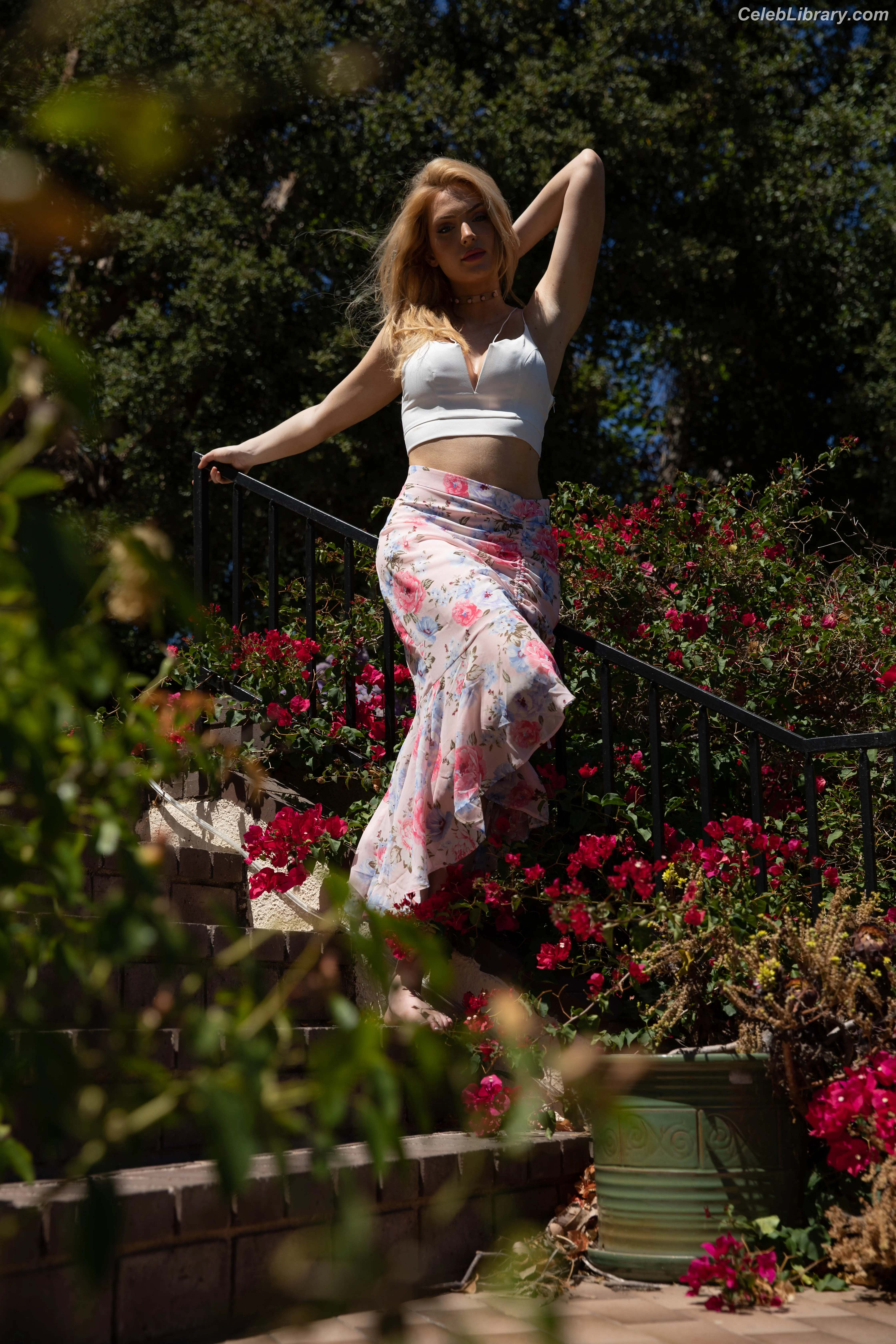 Brighton Sharbino photo 19 of 976