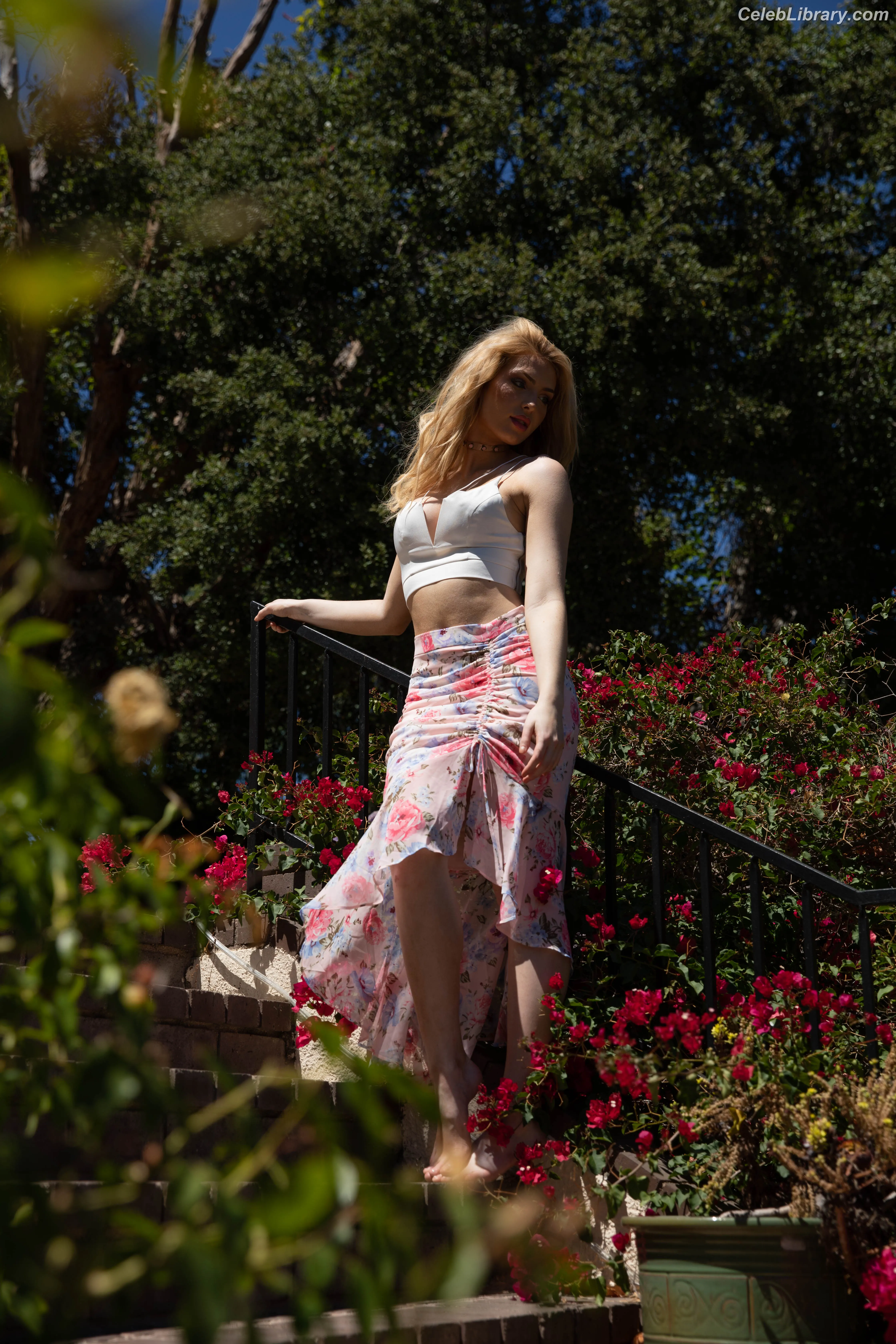 Brighton Sharbino photo 21 of 976