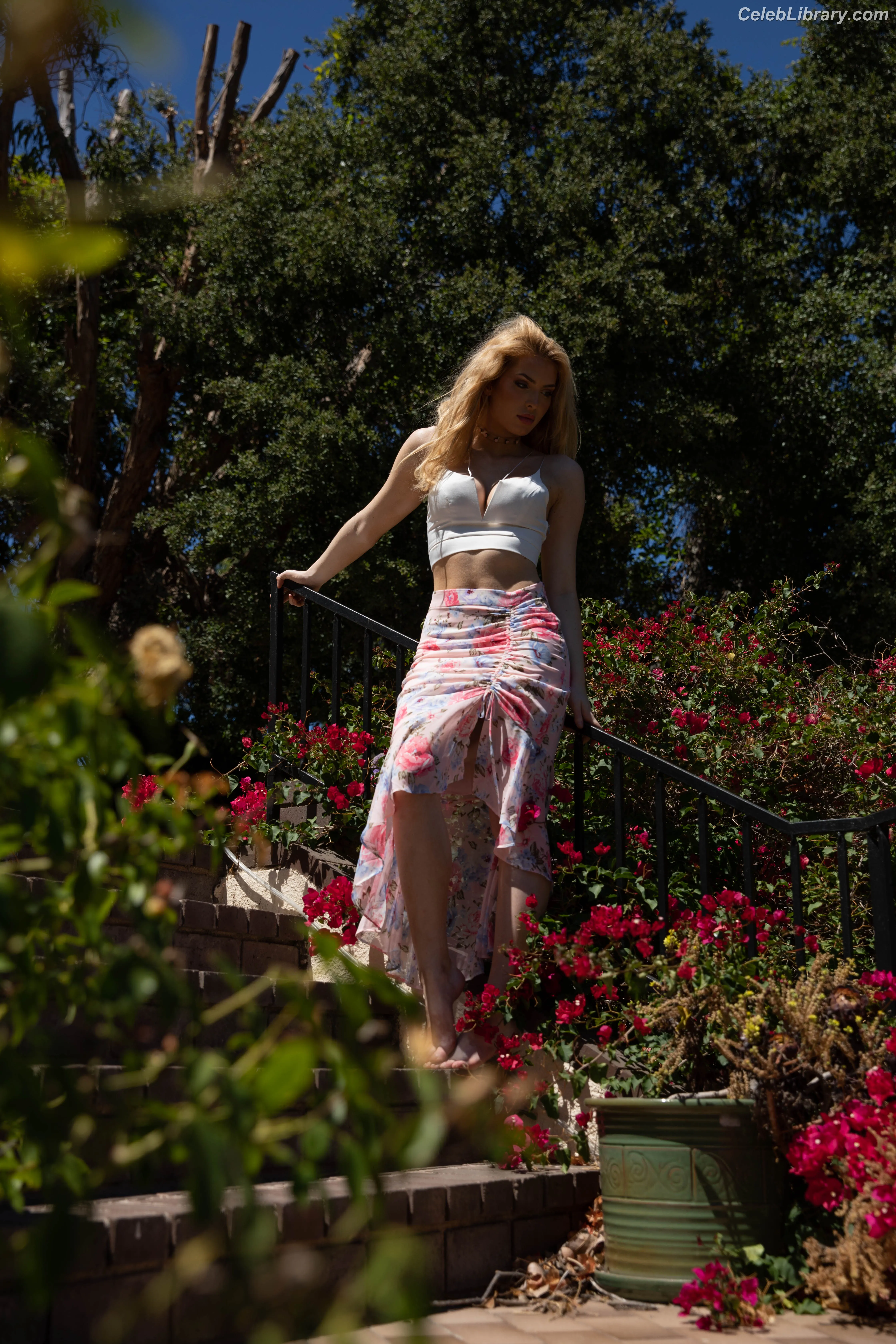 Brighton Sharbino photo 23 of 976