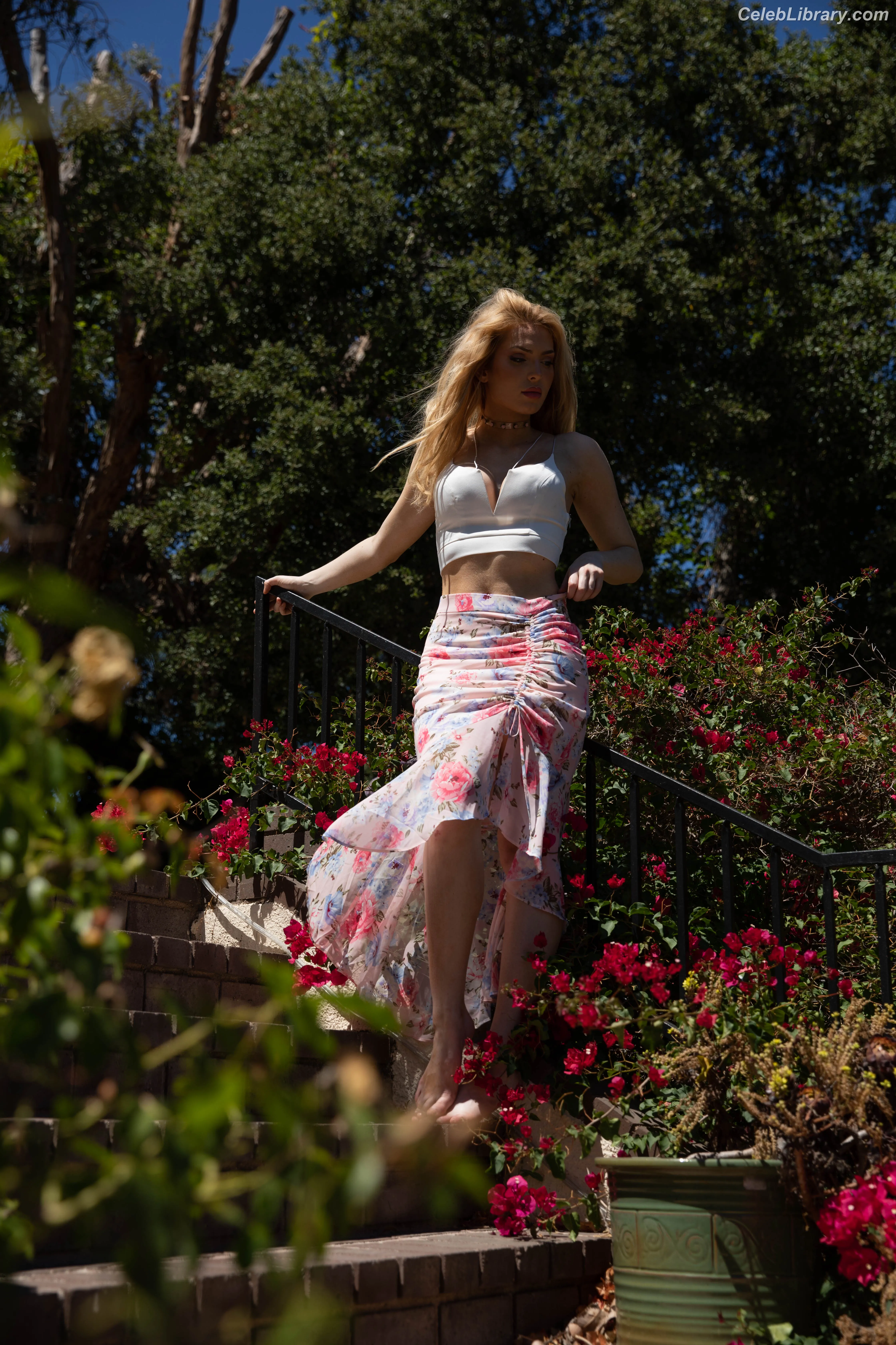 Brighton Sharbino photo 24 of 976