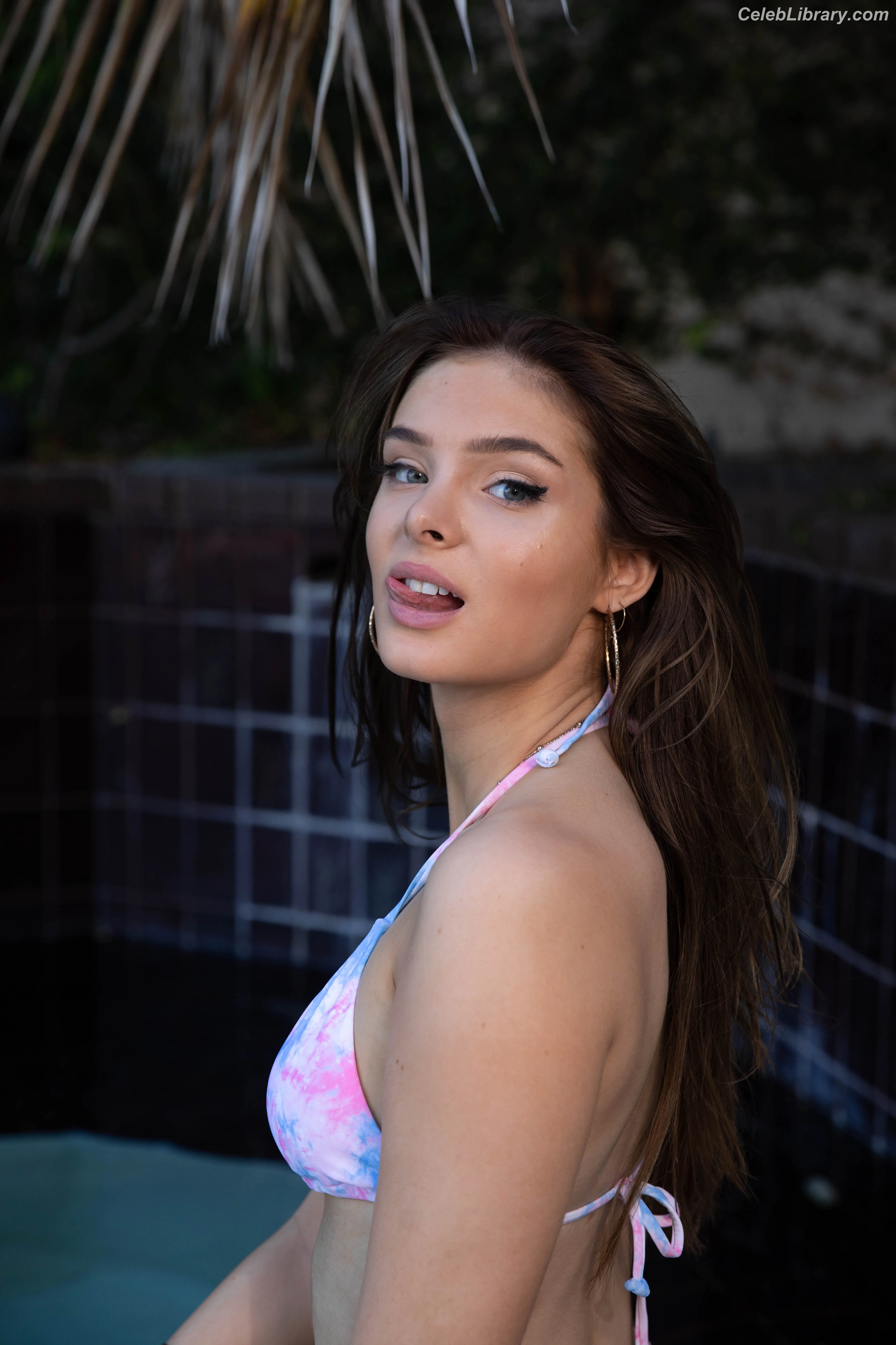 Brighton Sharbino photo 10 of 976