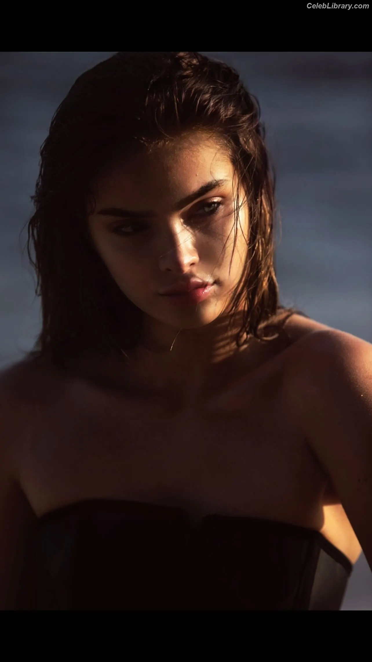 Brighton Sharbino photo 13 of 976