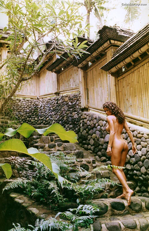 Brooke Burke photo 6 of 391