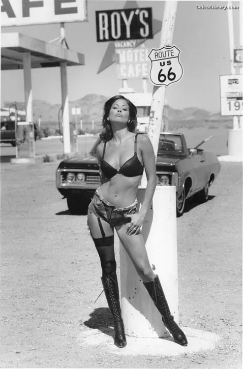 Brooke Burke photo 20 of 391