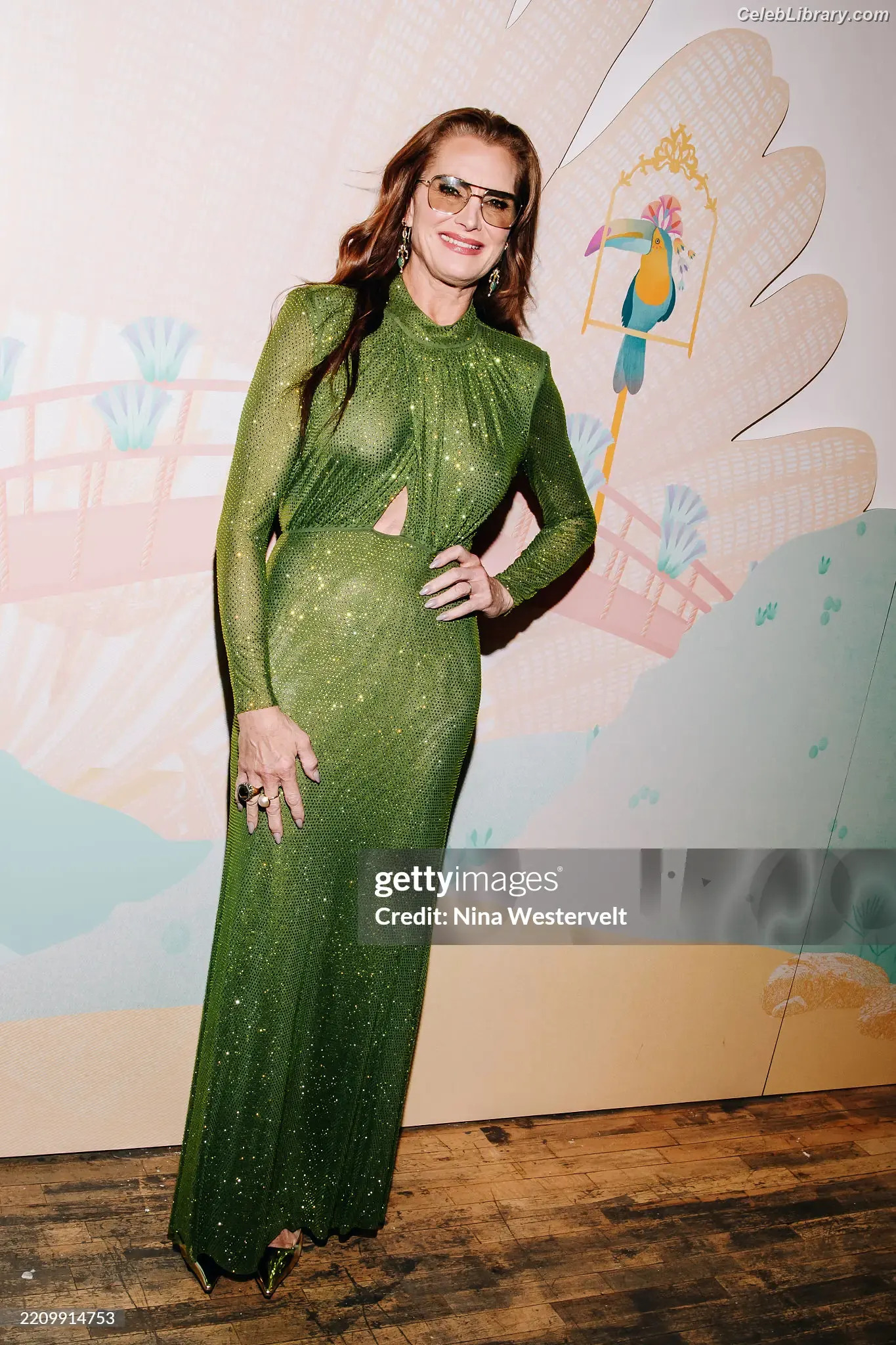Brooke Shields photo 7 of 44