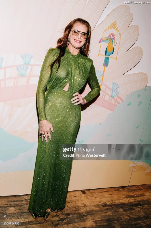 Brooke Shields photo 7 of 45
