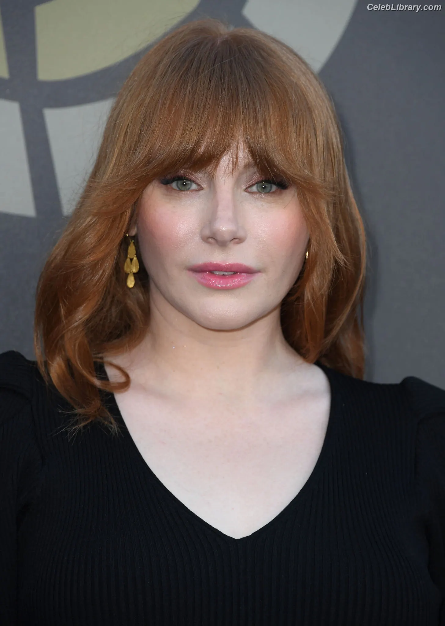 Bryce Dallas Howard photo 18 of 604