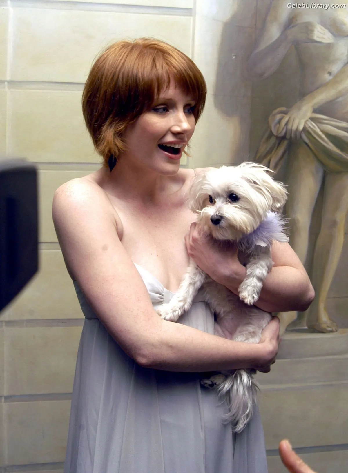 Bryce Dallas Howard photo 6 of 604