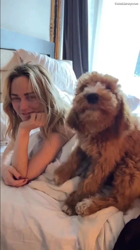 Caity Lotz photo 18 of 106