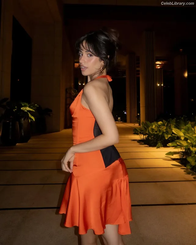 Camila Cabello photo 15 of 2287