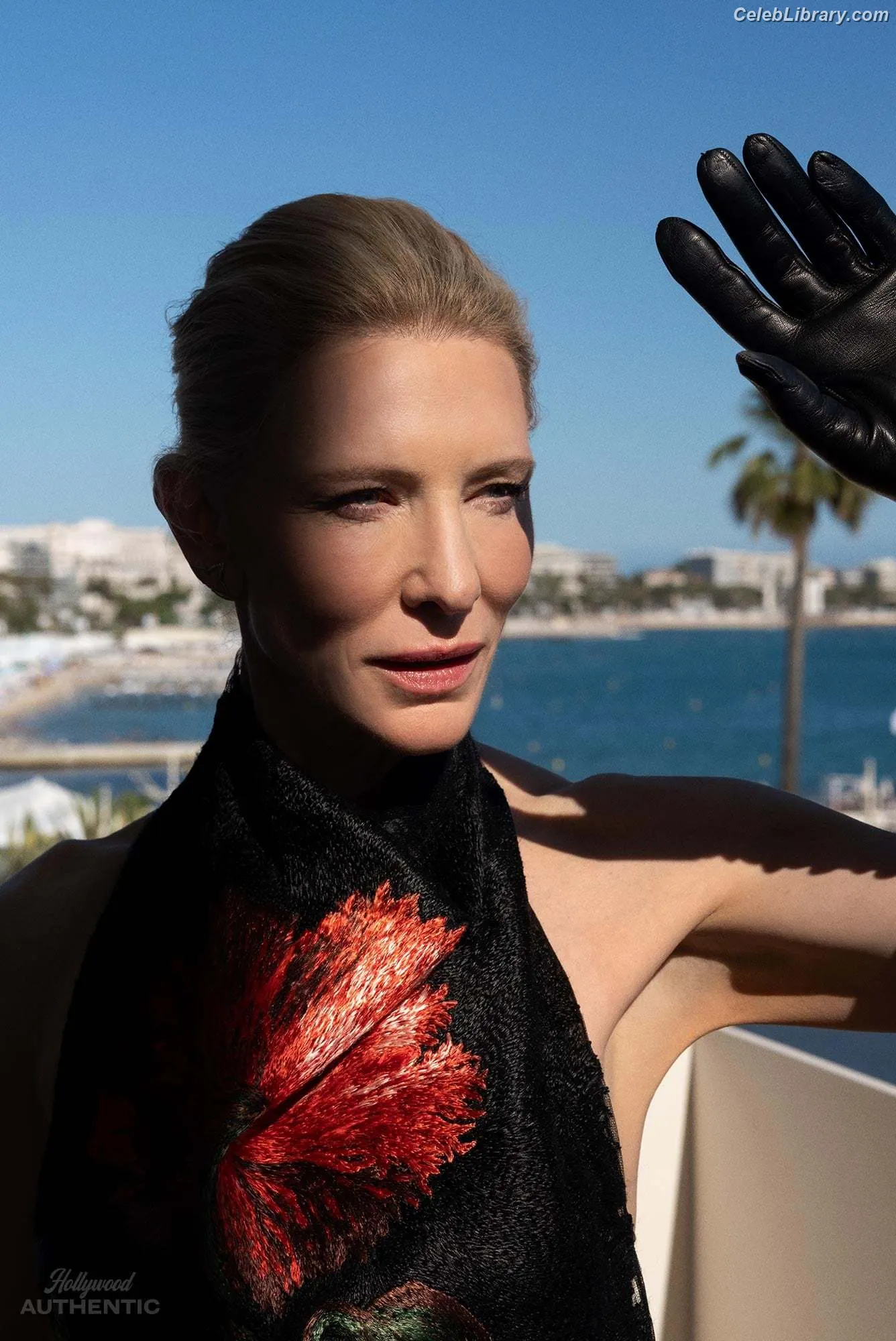 Cate Blanchett photo 4 of 334