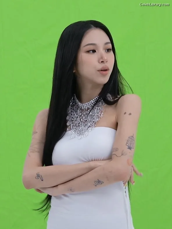 Chaeyoung (TWICE) photo 8 of 400