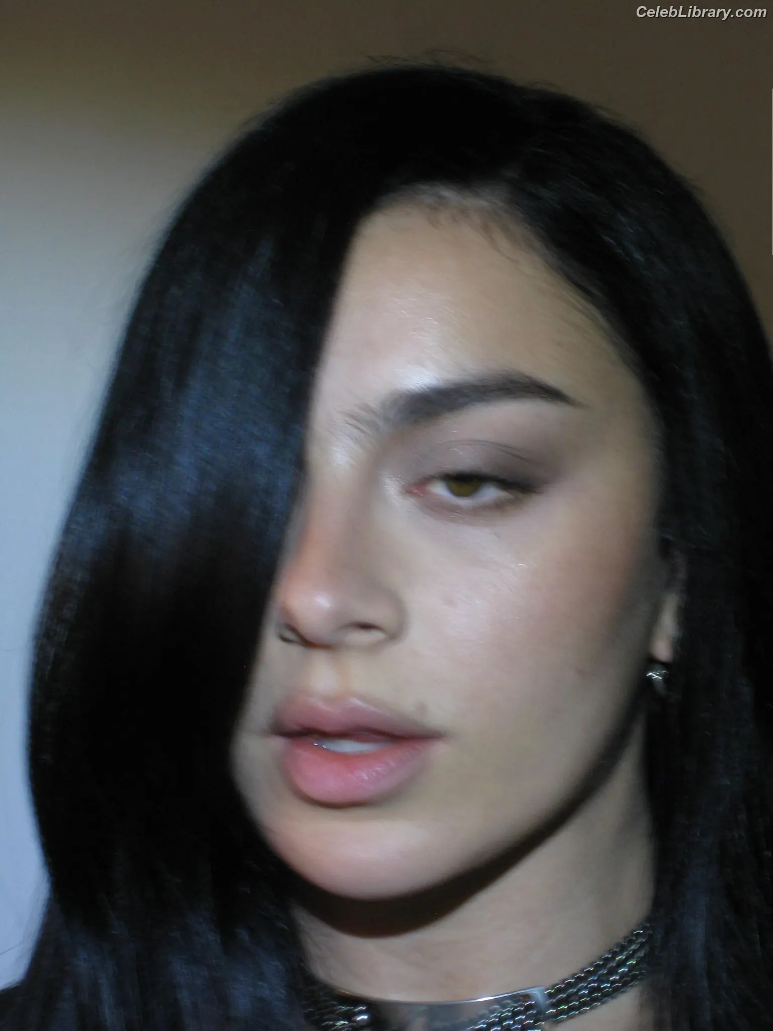 Charli XCX photo 23 of 2648