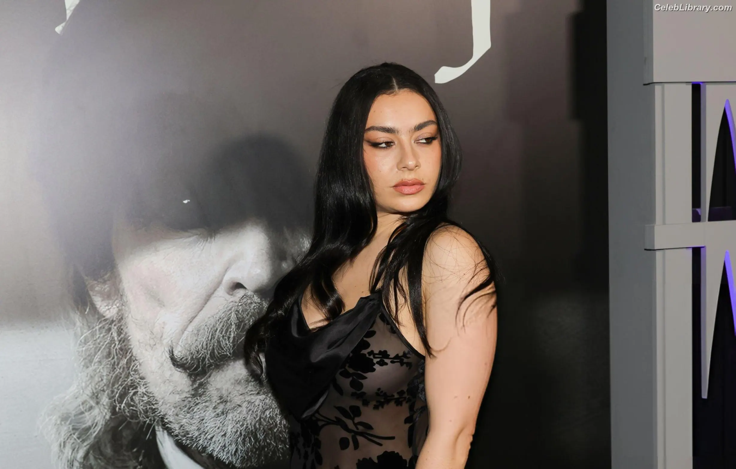 Charli XCX photo 15 of 2648
