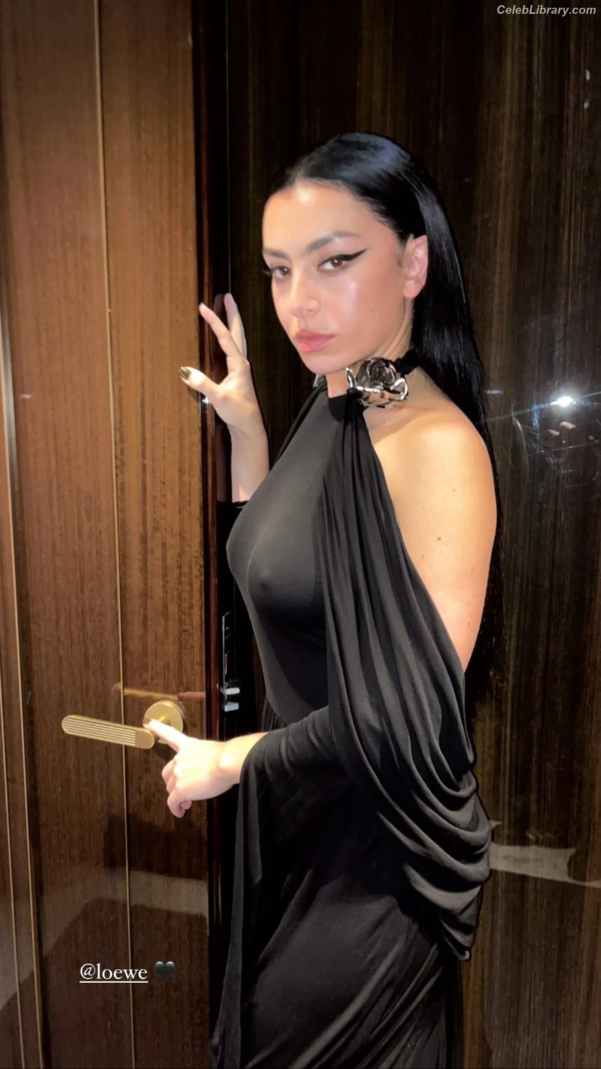 Charli XCX photo 17 of 2648