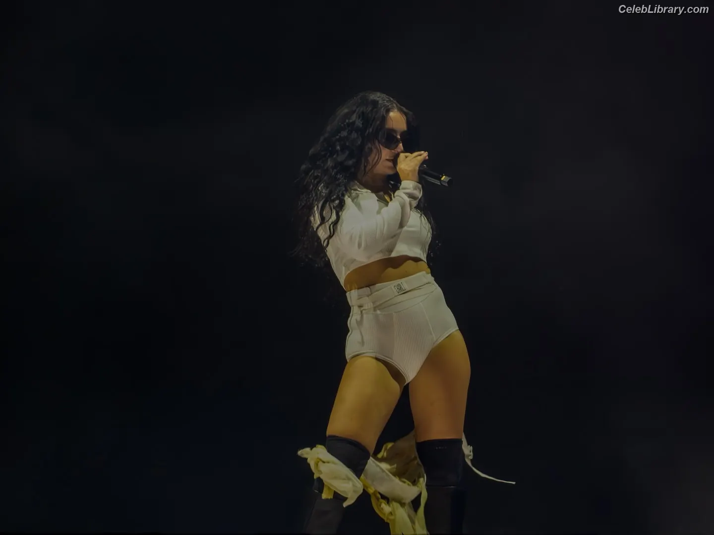 Charli XCX photo 23 of 2648