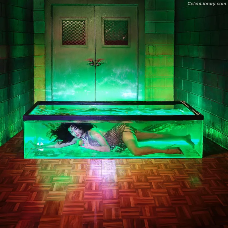 Charli XCX photo 15 of 2701