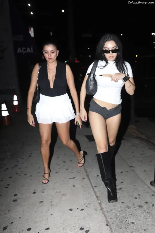 Charli XCX photo 21 of 2701