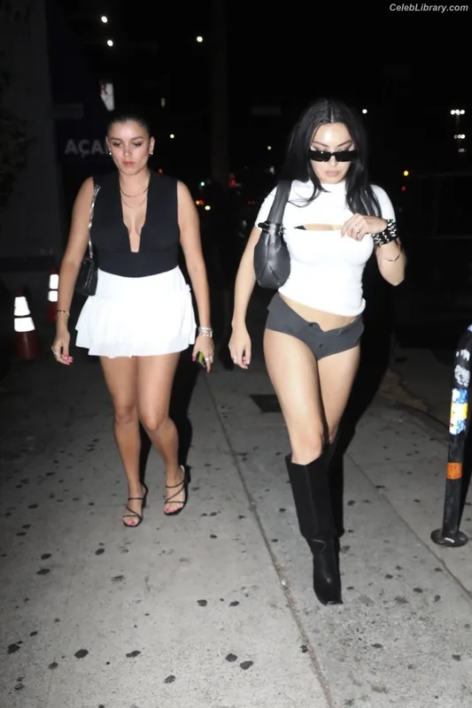 Charli XCX photo 23 of 2701