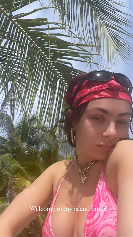 Charli XCX photo 21 of 2701