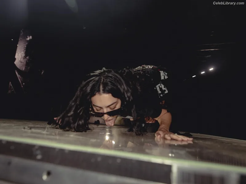 Charli XCX photo 20 of 2701