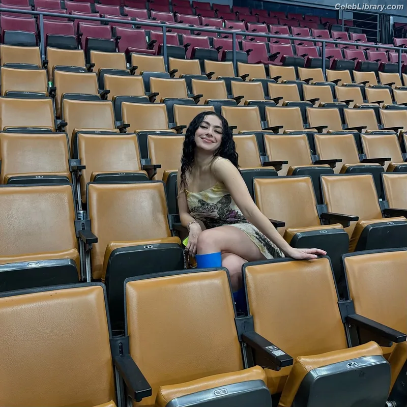 Charli XCX photo 12 of 2701