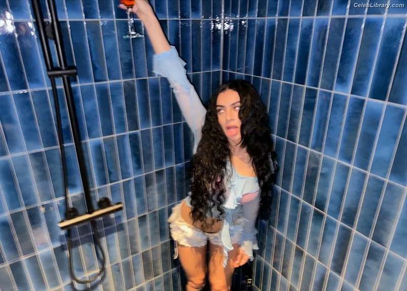 Charli XCX photo 17 of 2701