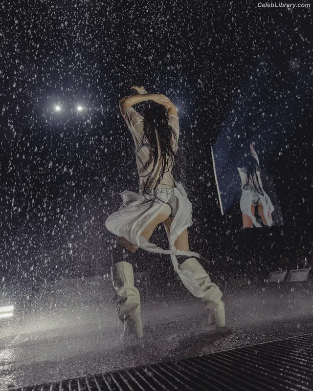 Charli XCX photo 23 of 2701