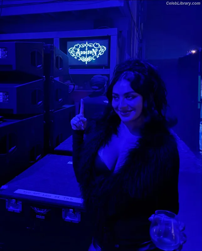 Charli XCX photo 24 of 2701