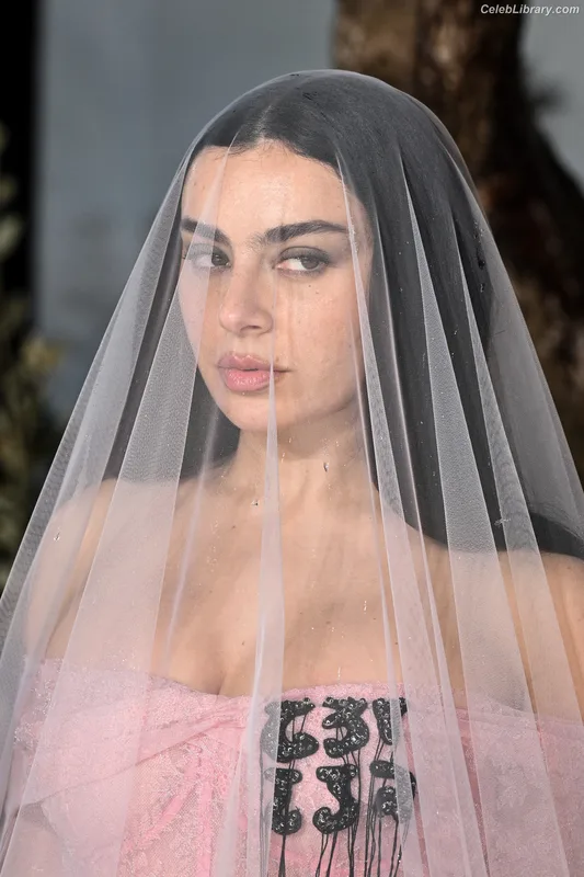 Charli XCX photo 14 of 2701
