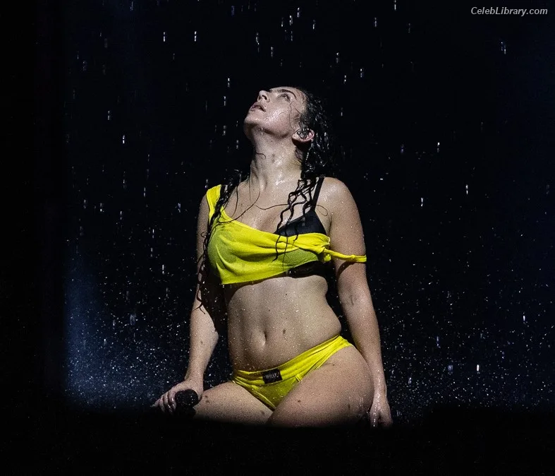 Charli XCX photo 22 of 2701