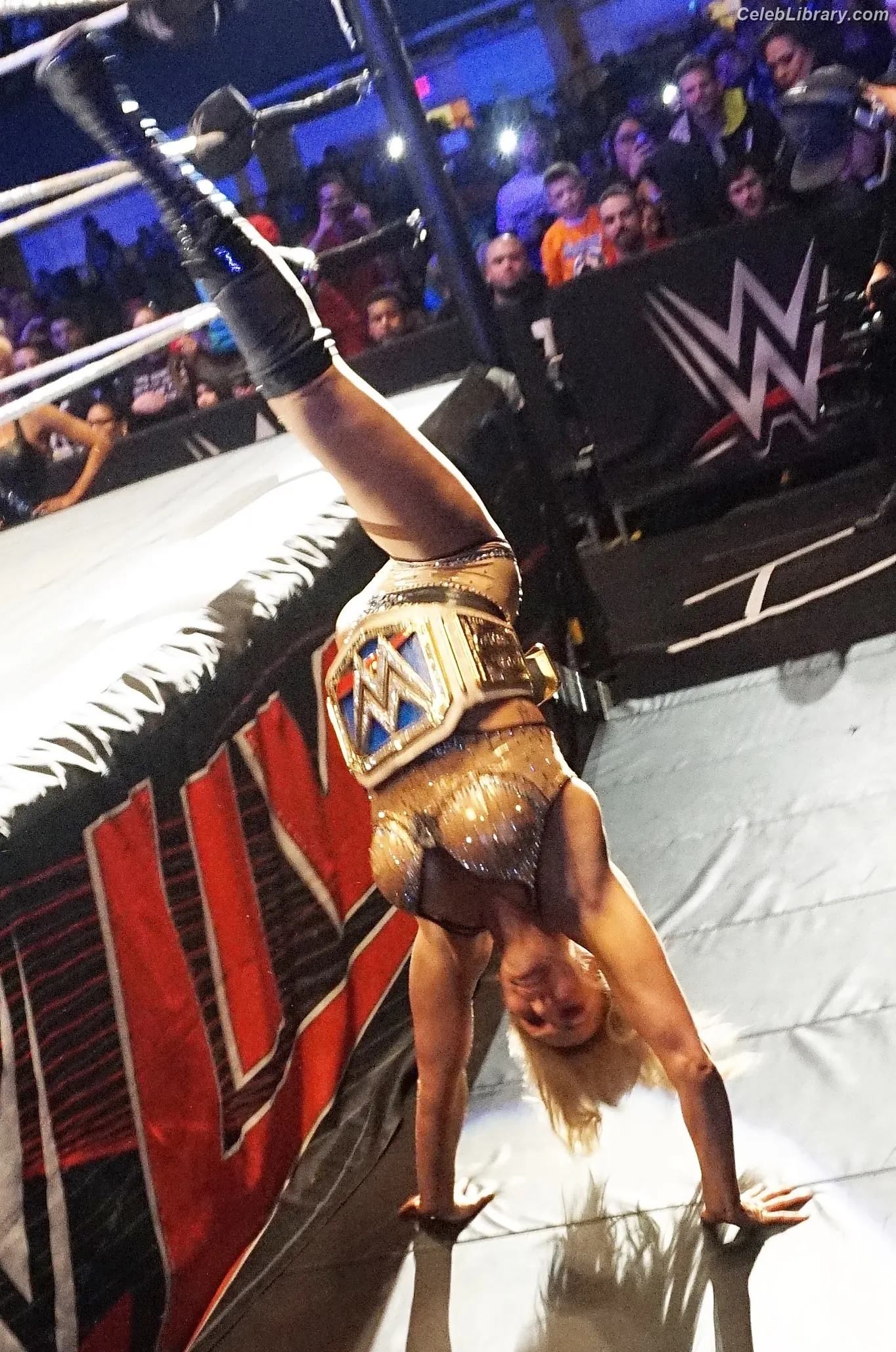 Charlotte Flair photo 10 of 715