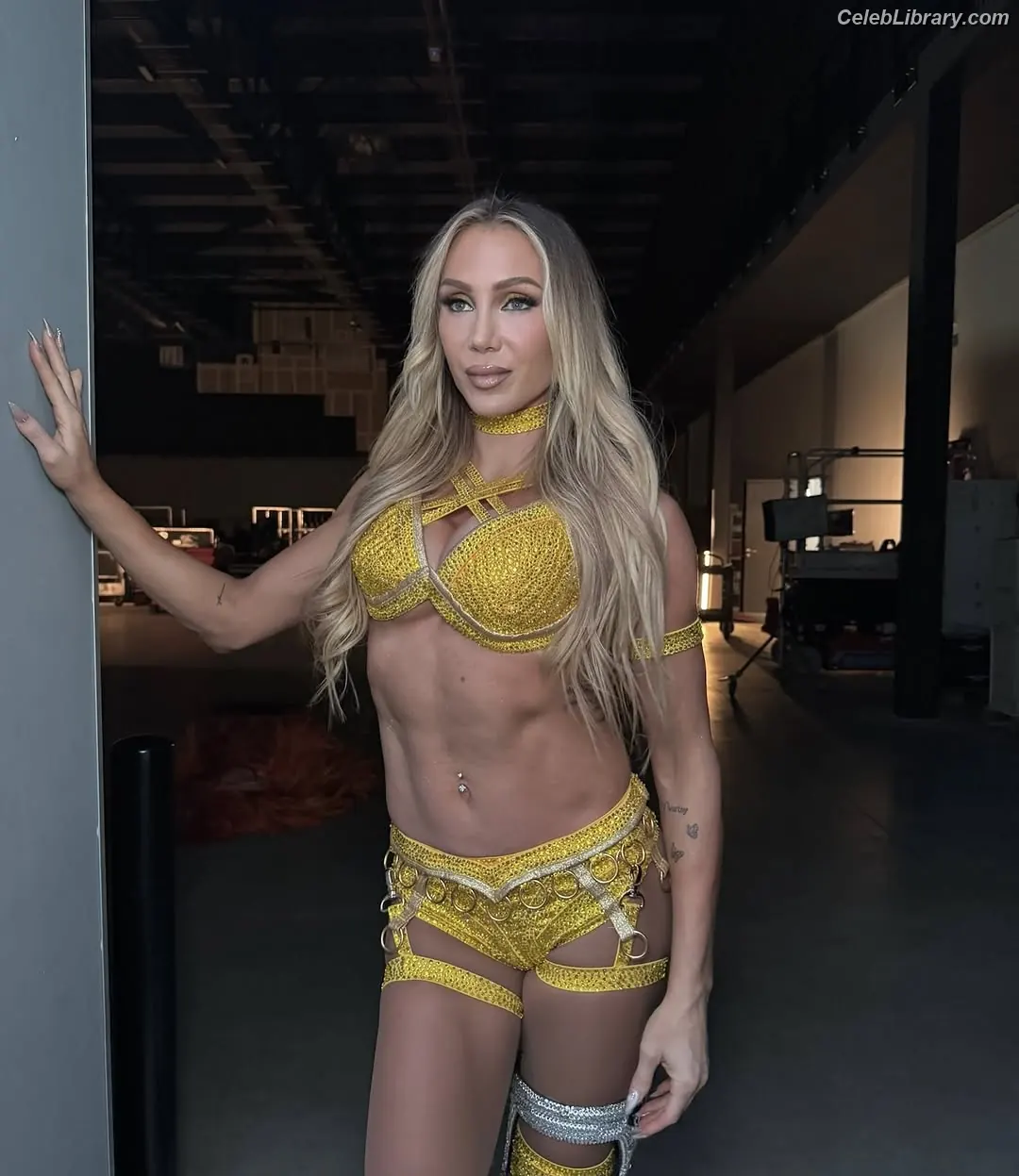 Charlotte Flair photo 22 of 715