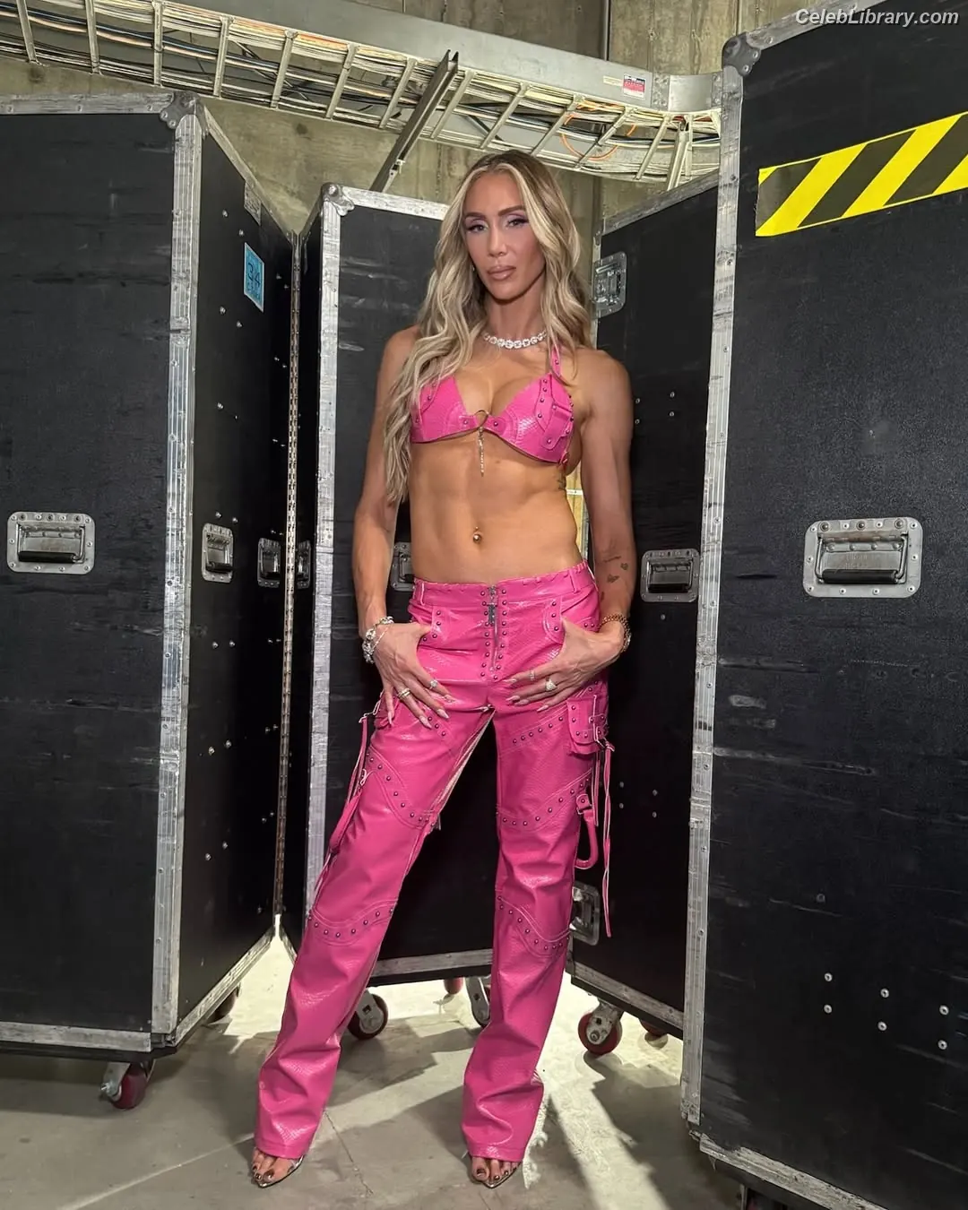 Charlotte Flair photo 22 of 715
