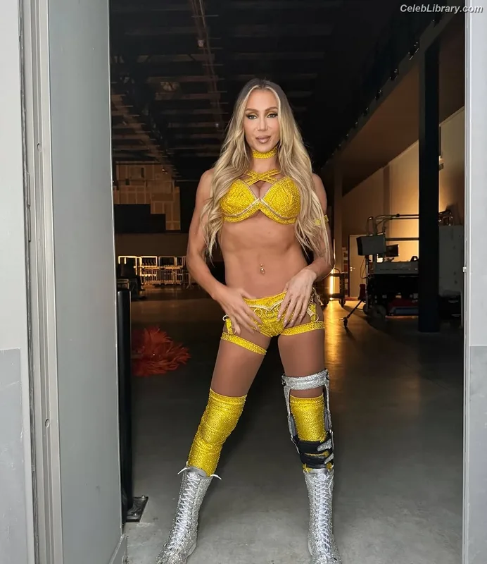 Charlotte Flair photo 1 of 717