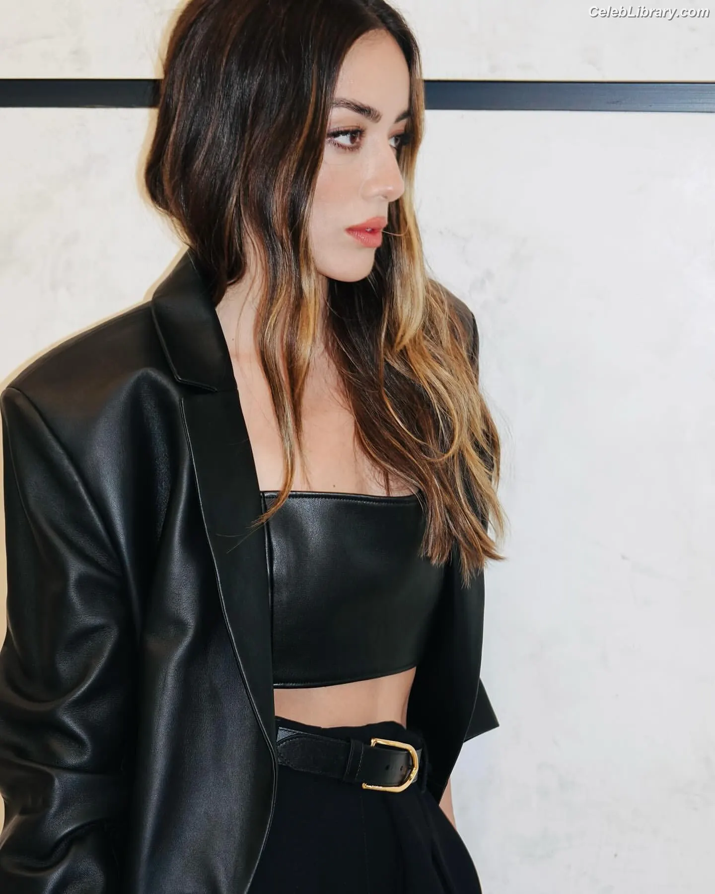 Chloe Bennet photo 11 of 834