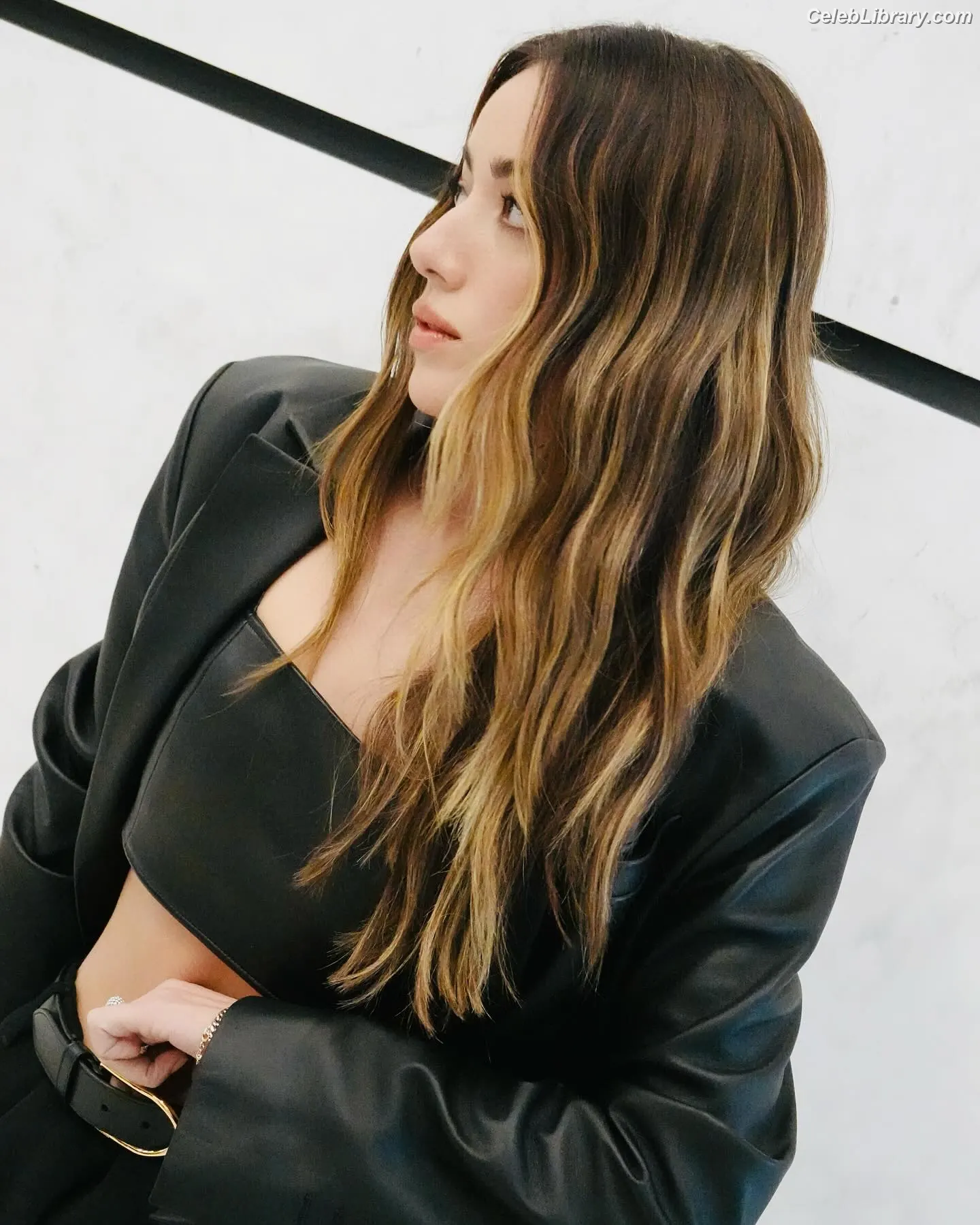 Chloe Bennet photo 19 of 834